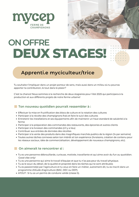 Stagiaires recherché.es pour l'été 2025