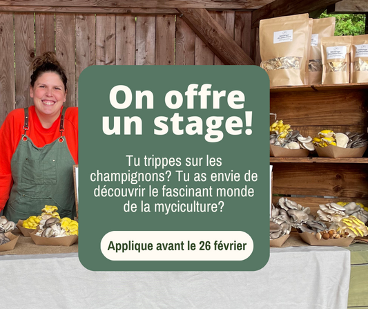 Offre de stage à l'été 2024
