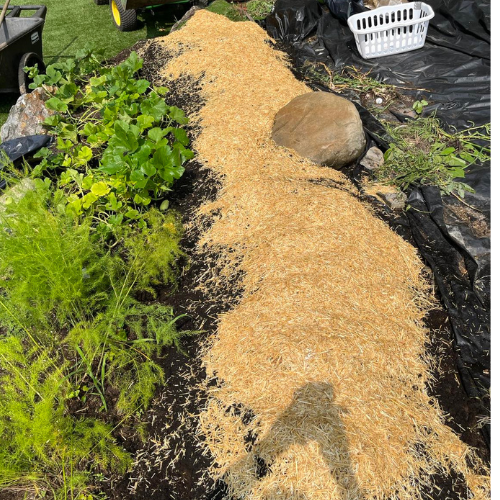 Lot de 10 blocs de culture usagés mixte - 30$ (voir description du produit)