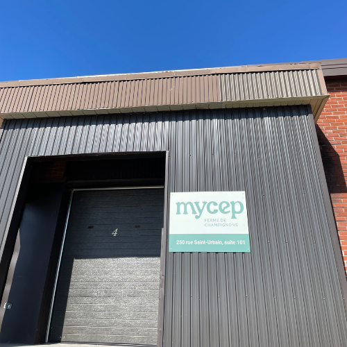 À la découverte de la myciculture - Visite guidée de chez Mycep