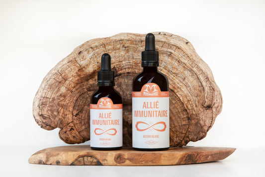 Allié Immunitaire | Double extraction de Reishi blanc