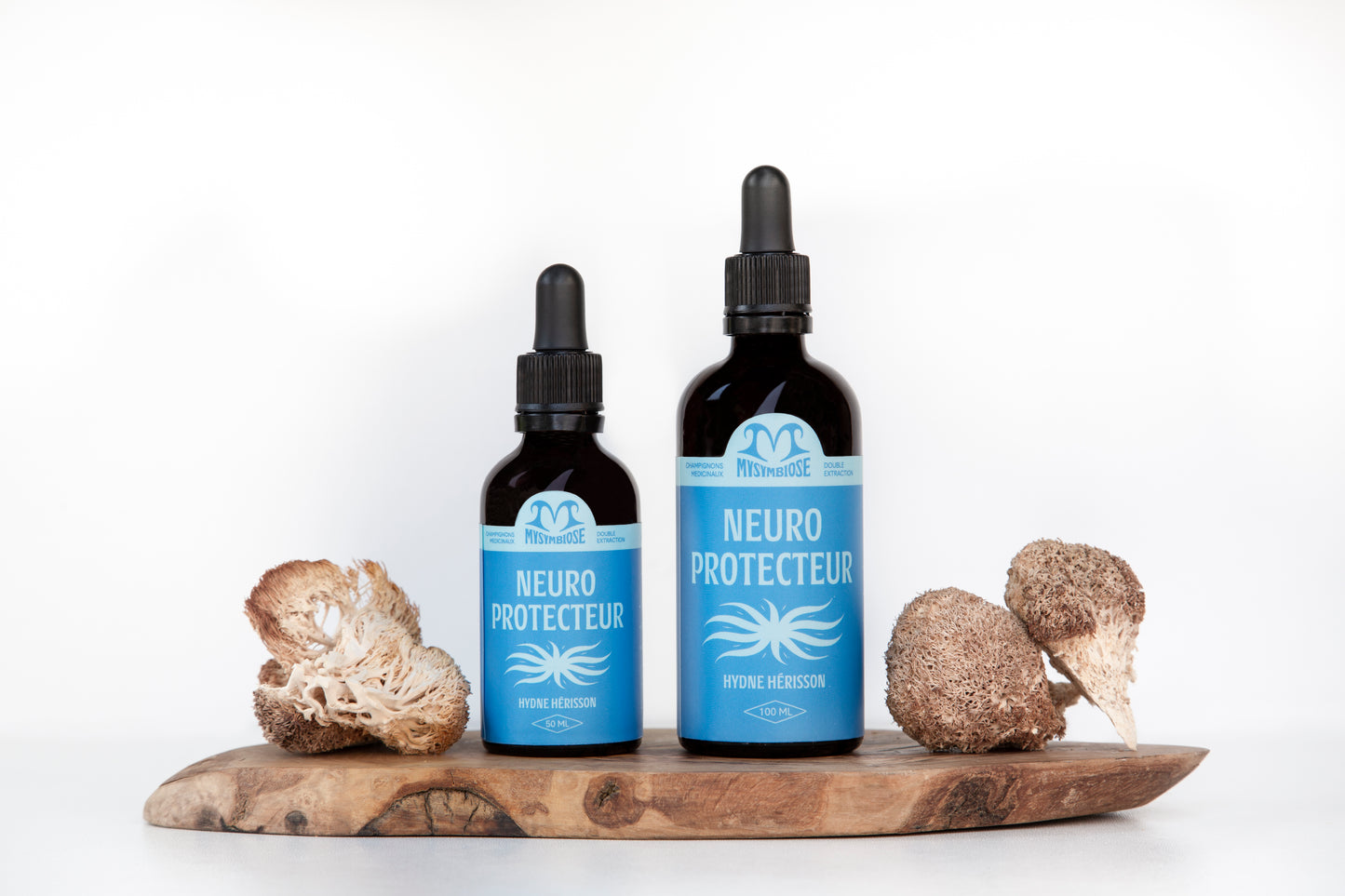 Neuro-Protecteur | Double extraction de crinière de lion