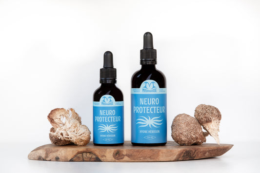 Neuro-Protecteur | Double extraction de crinière de lion