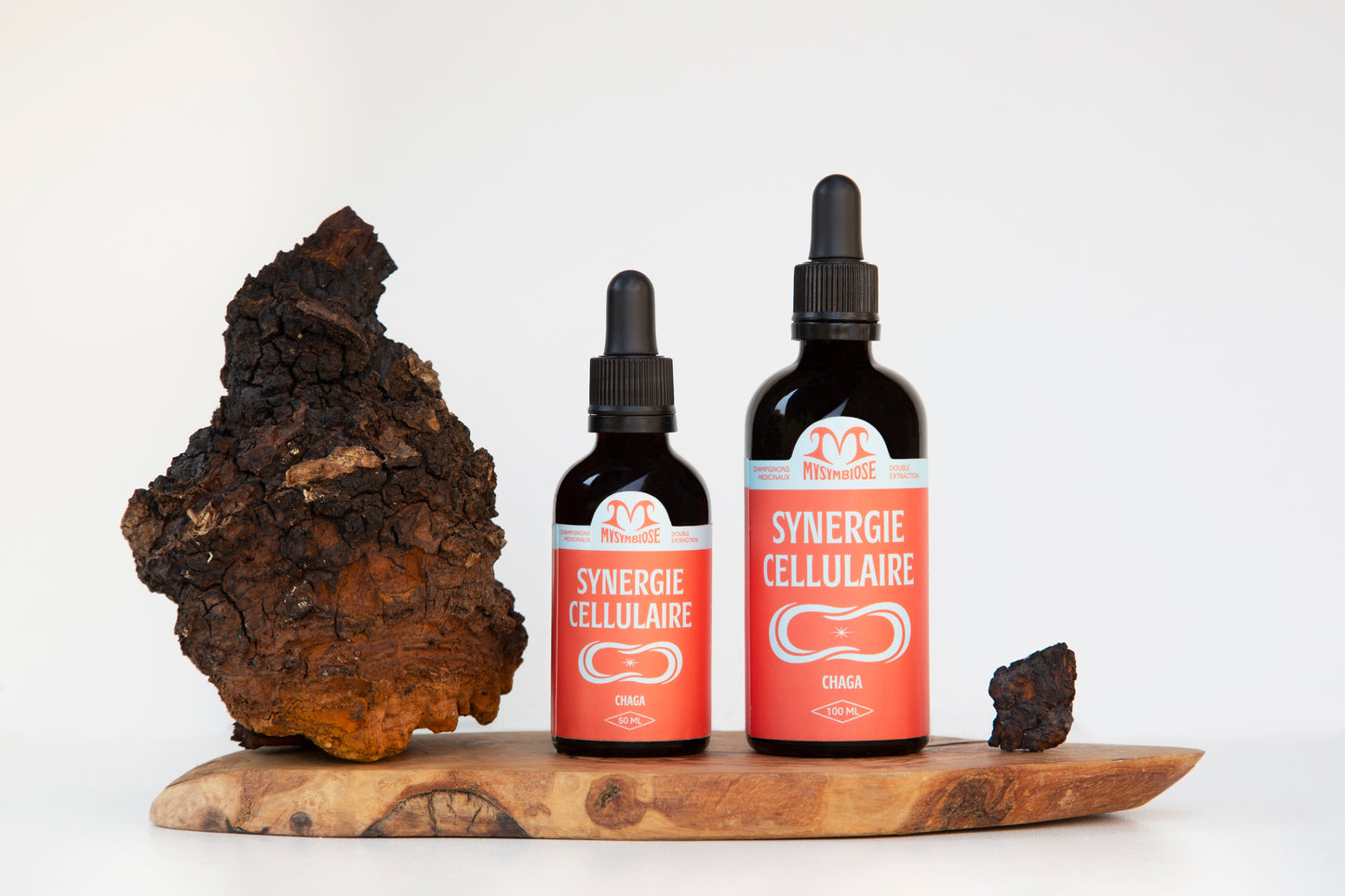 Synergie Cellulaire | Double extraction de chaga