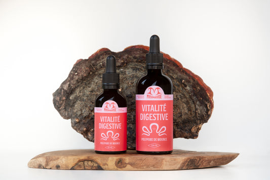 Vitalité Digestive | Double extraction de Chaga