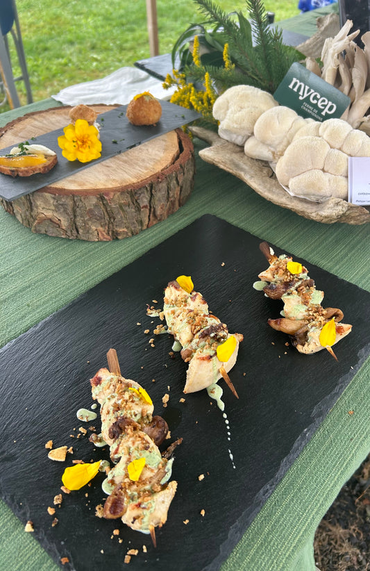 Brochettes de poulet et champignons avec émulsion de yogourt aux herbes et panko croustillant
