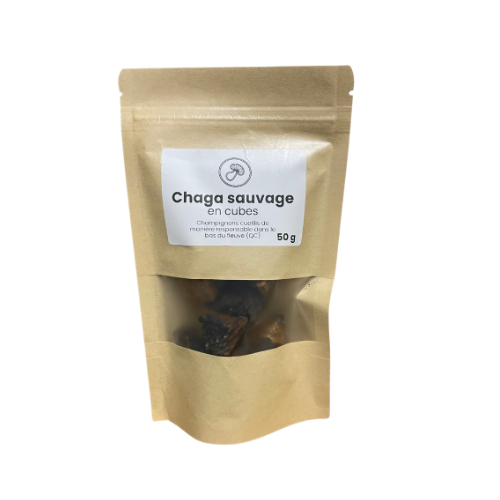 Chaga sauvage en cubes