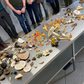 Initiation à la cueillette et à l’identification des champignons sauvages - Shefford