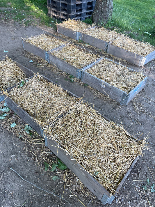 SPÉCIAL FIN DE SAISON - Lot de 20 blocs usagés - 30$ (voir description du produit)